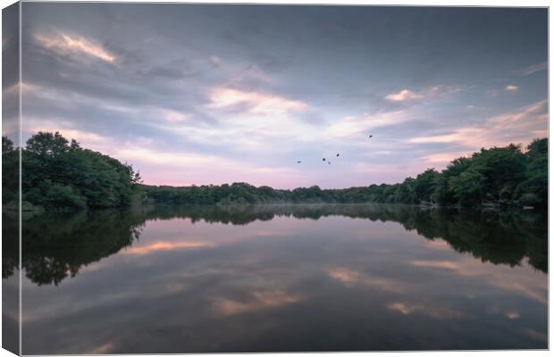Balcombe Lake, West Sussex Canvas Print by Mark Jones