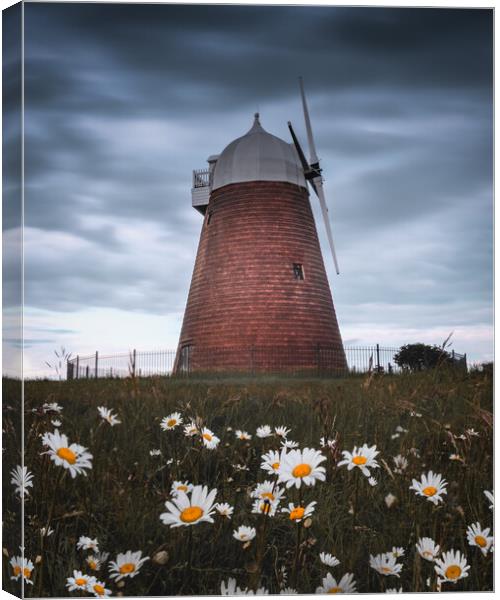 Halnaker Windmill Canvas Print by Mark Jones