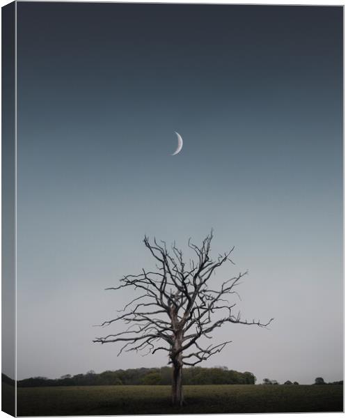 Crescent Moon and Tree Canvas Print by Mark Jones
