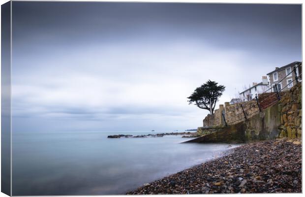 Seaview Canvas Print by Mark Jones