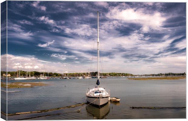 Boat in Chichester Channel Canvas Print by Mark Jones