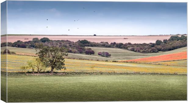 South Downs Canvas Print by Mark Jones