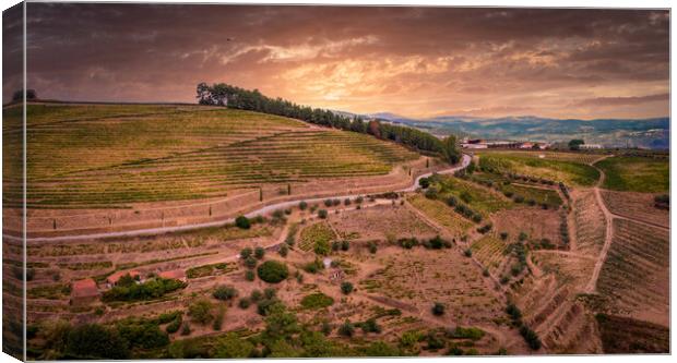 Amazing landscape of Portugal at Douro valley Canvas Print by Erik Lattwein