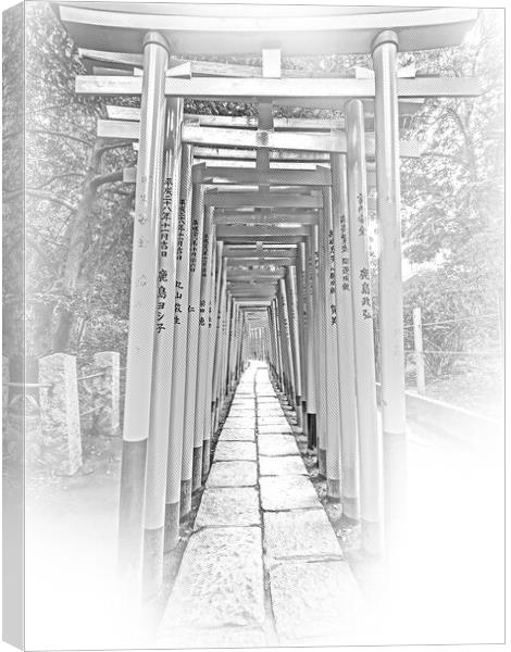 Impressive path covered by red gates at Nezu Jinja Shrine in Tok Canvas Print by Erik Lattwein