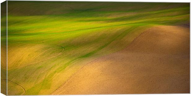 Grass and desert Canvas Print by Erik Lattwein