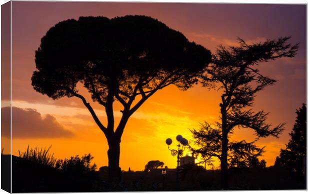 Silhouette of Italian Stone Pine oder Umbrella Pin Canvas Print by Erik Lattwein