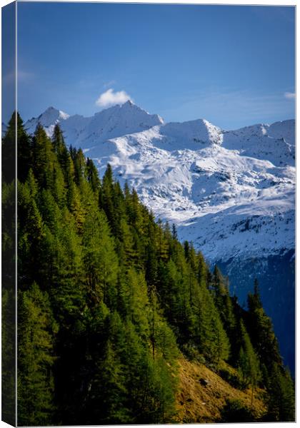The Swiss Alps - amazing view over the mountains of Switzerland Canvas Print by Erik Lattwein