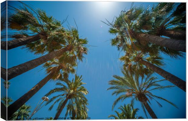 Palm Trees against a blue sky perfect holiday feeling Canvas Print by Erik Lattwein