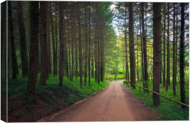 Path through the pine forest - Orton glow Edition  Canvas Print by Jordi Carrio