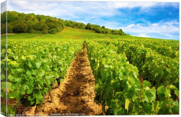 Burgundy vineyards - Orton glow Edition  Canvas Print by Jordi Carrio