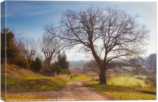 Rural road in winter - C1512-4042-GRACOL Canvas Print by Jordi Carrio