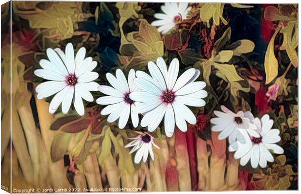 Brushstrokes of daisies - C1606-6226-ABS Canvas Print by Jordi Carrio