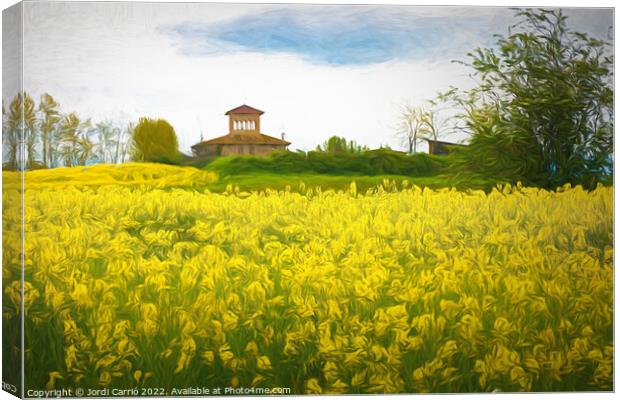 Golden Fields of Catalonia - CR2105-5263-PIN-R Canvas Print by Jordi Carrio