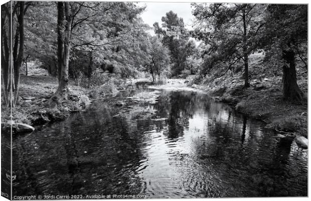 Panoramic view of the Llémena River - Black and White Edition Canvas Print by Jordi Carrio