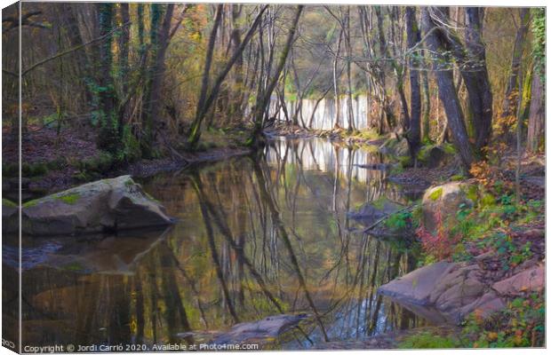 Reflections in the river in the middle of autumn Canvas Print by Jordi Carrio