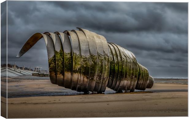 Mary's Shell before the Storm Canvas Print by Scott Somerside