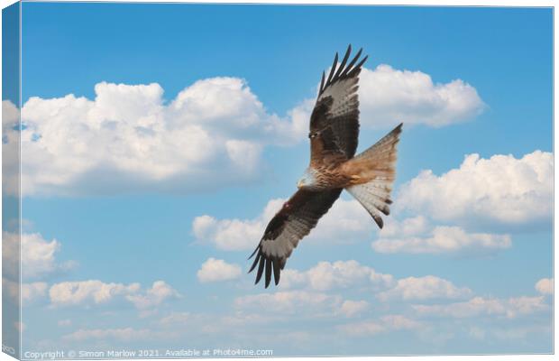 Red kite Canvas Print by Simon Marlow