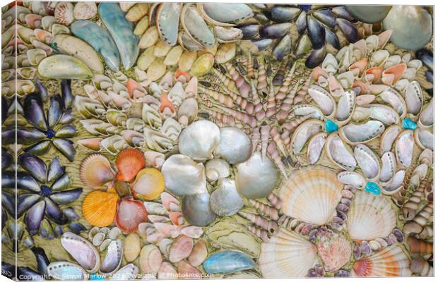 A Collection of Aquatic Treasures Canvas Print by Simon Marlow