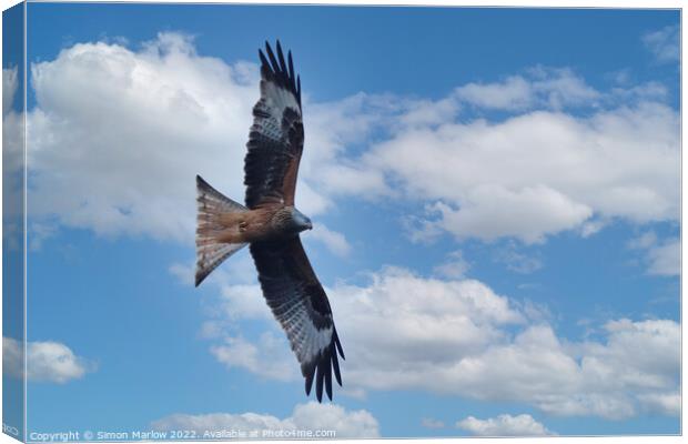 Graceful Red Kite Takes Flight Canvas Print by Simon Marlow