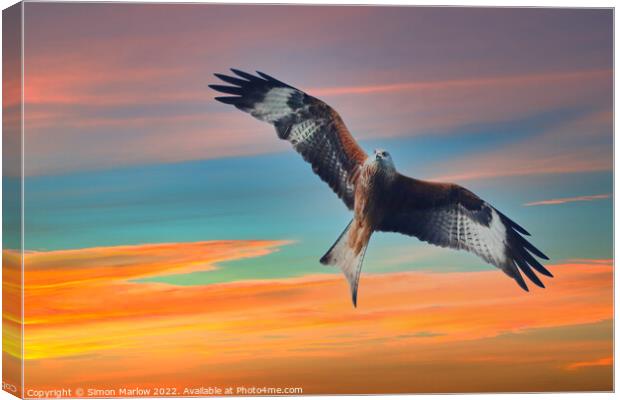 Red Kite Canvas Print by Simon Marlow