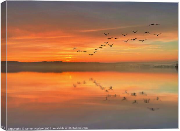 Birds over a lake at sunset Canvas Print by Simon Marlow
