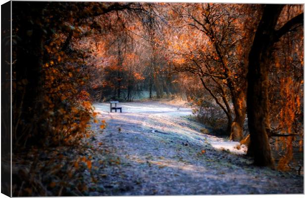 Tranquil Forest Bench Canvas Print by Simon Marlow