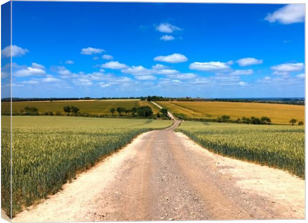 Endless Summer Fields Canvas Print by Simon Marlow