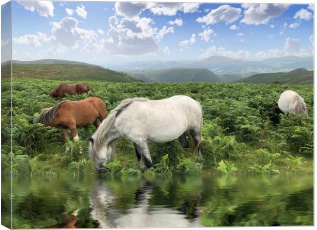 Majestic Wild Ponies Roam Free Canvas Print by Simon Marlow
