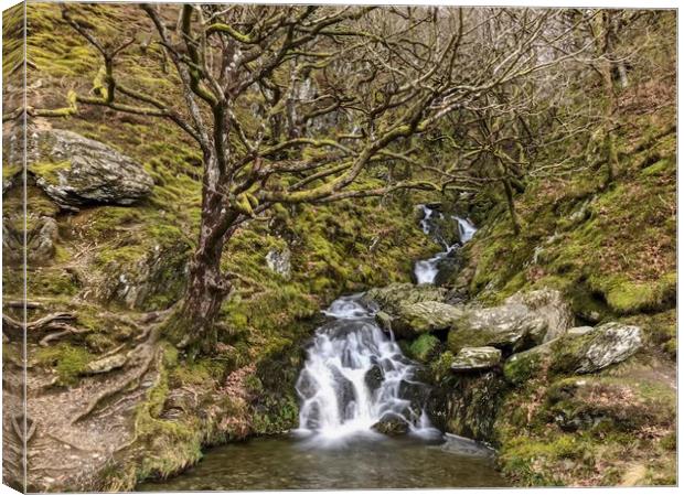 Majestic Waterfall in Elan Valley Canvas Print by Simon Marlow