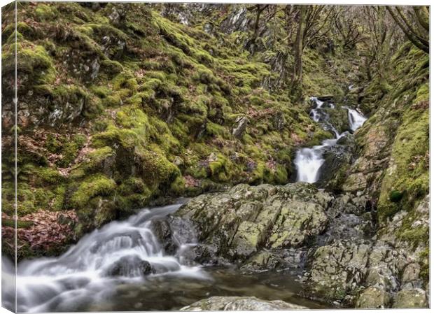 Stream running down in the Elan Valley, Wales Canvas Print by Simon Marlow