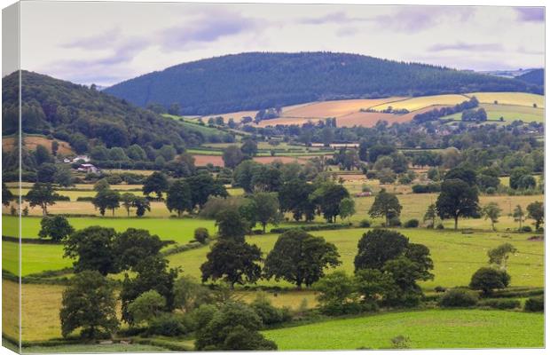 South Shropshire landscape of the Clun Valley Canvas Print by Simon Marlow