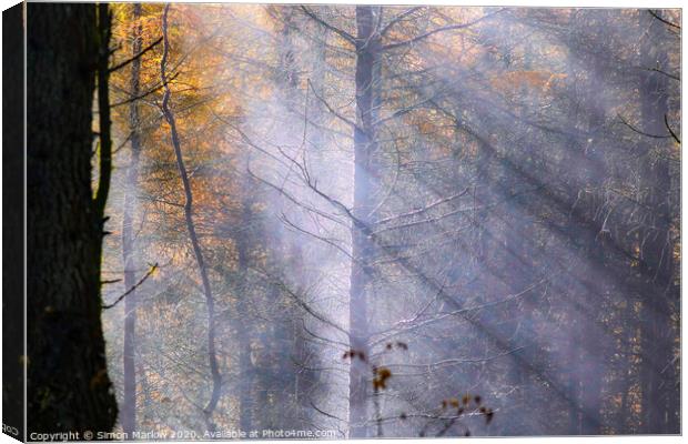 Rays of sunlight through autumn trees Canvas Print by Simon Marlow