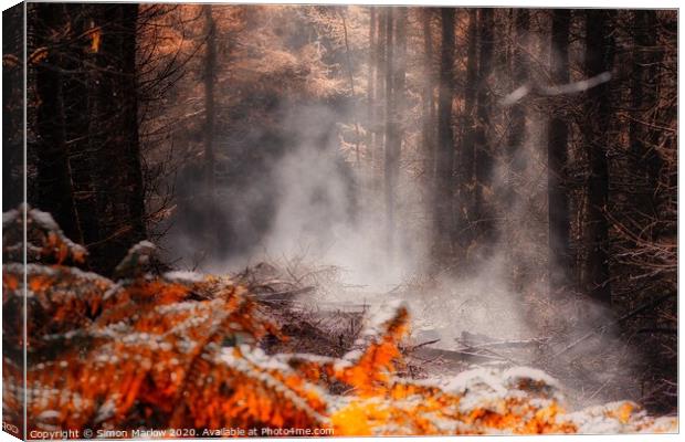 Enchanting Forest Awakening Canvas Print by Simon Marlow
