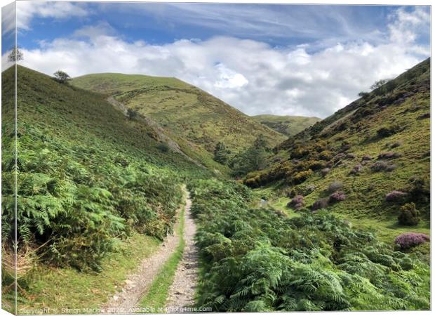 A walk through the valley at Long Mynd Canvas Print by Simon Marlow