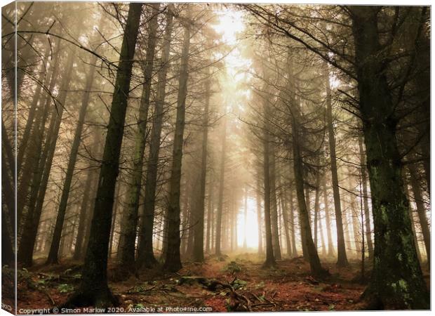 Cold forest morning at Bury Ditches Canvas Print by Simon Marlow