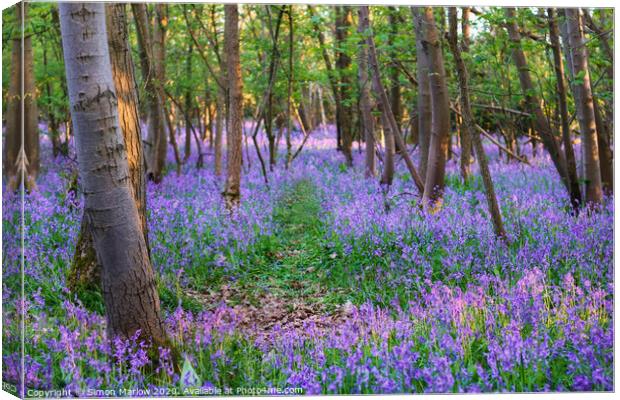 A walk through a Bluebell forest Canvas Print by Simon Marlow