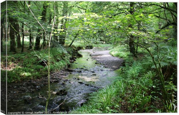 Enchanting Lydford Gorge Canvas Print by Simon Marlow