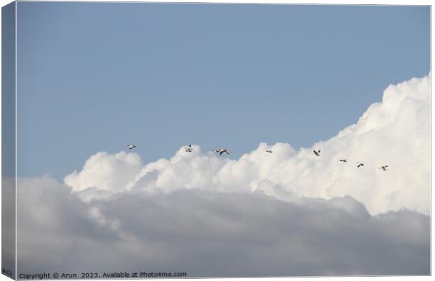 Flying Geese in San Joaquin Wildlife Preserve California Canvas Print by Arun 