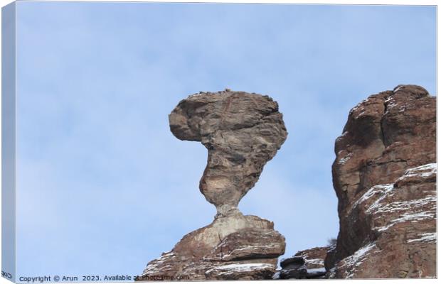 Balancing rock Idaho Canvas Print by Arun 