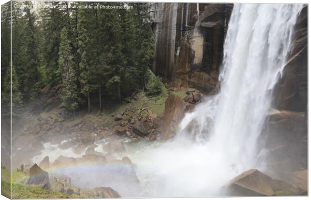 Yosemite in Spring Canvas Print by Arun 