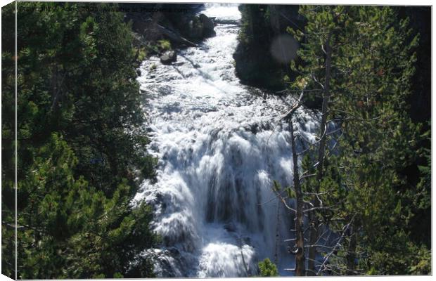 Waterfall at Yellowstone national park in Wyoming USA Canvas Print by Arun 