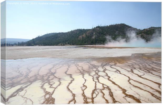 Geysers at Yellowstone national park in Wyoming USA Canvas Print by Arun 