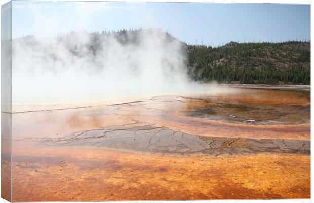 Geysers at Yellowstone national park in Wyoming USA Canvas Print by Arun 