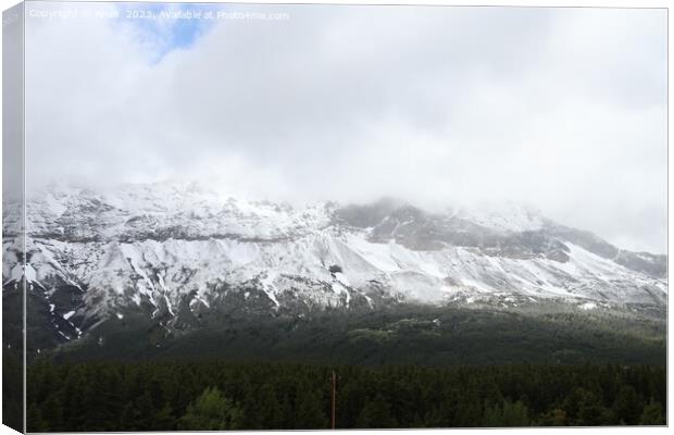 Glacier National Park Montana Canvas Print by Arun 