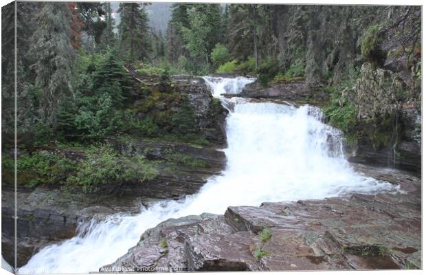 Glacier National Park Montana Canvas Print by Arun 