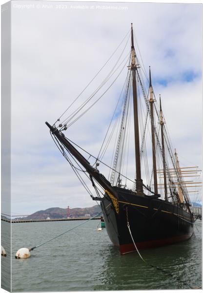 Maritime Museum of San Francisco California Canvas Print by Arun 