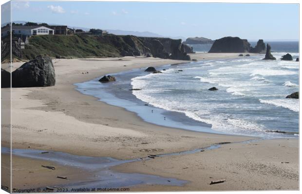 Coastline of oregon Canvas Print by Arun 