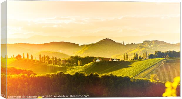 South styria vineyards landscape, near Gamlitz, Austria, Eckberg, Europe. Grape hills view from wine road in spring. Tourist destination, panorama Canvas Print by Przemek Iciak