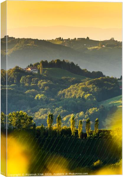 South styria vineyards landscape, near Gamlitz, Austria, Eckberg, Europe. Grape hills view from wine road in spring. Tourist destination, vertical photo Canvas Print by Przemek Iciak