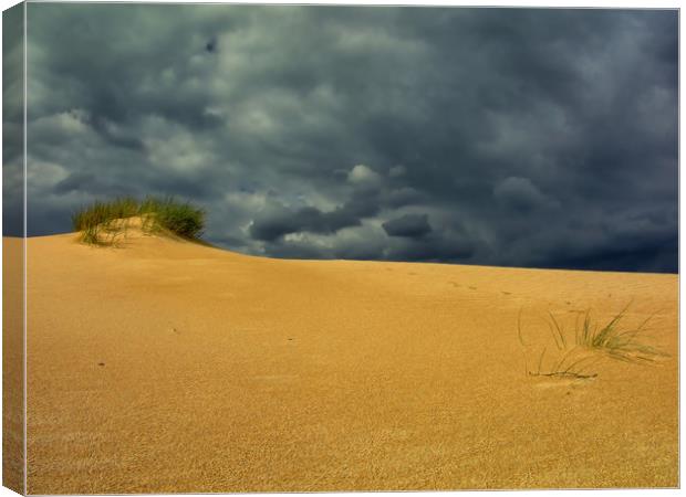 sand dune, bush and thunderstorm Canvas Print by federico stevanin